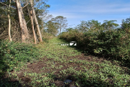 🔑VENDA - ÁREA DE TERRA | MARACAJÁ - Ref.0490