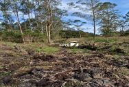 🔑VENDA - ÁREA DE TERRA | MARACAJÁ - Ref.0490