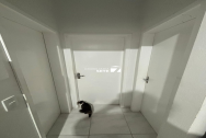 🔑 LOCAÇÃO - CASA, BAIRRO POLICIA RODOVIARIA REF. 772